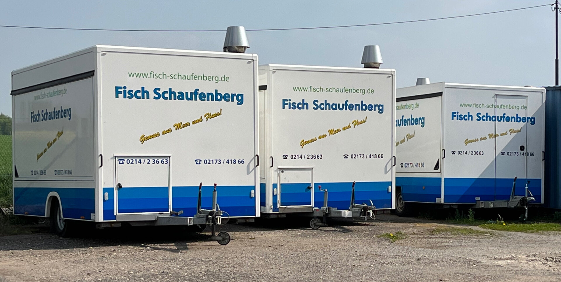 Fisch Schaufenberg