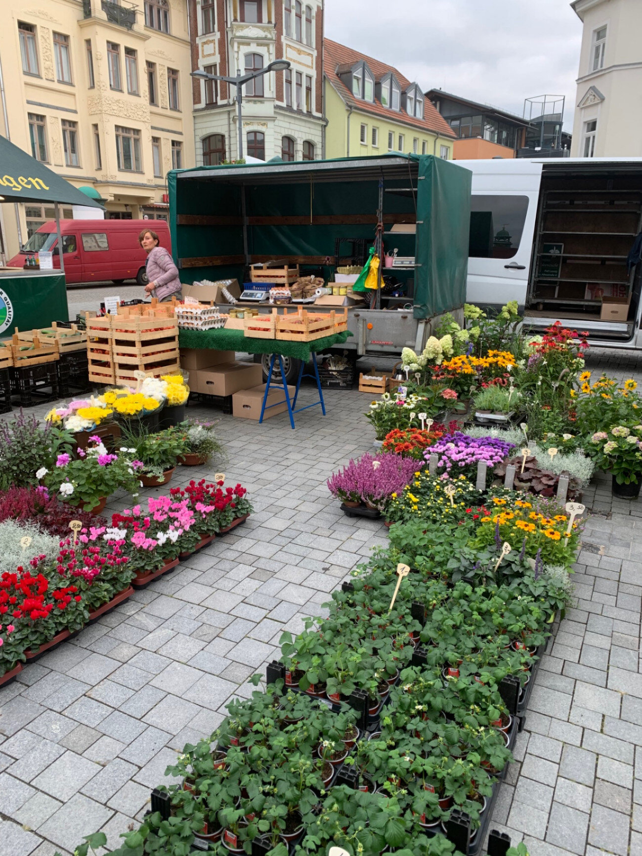 Gartenbau Orchideenzucht