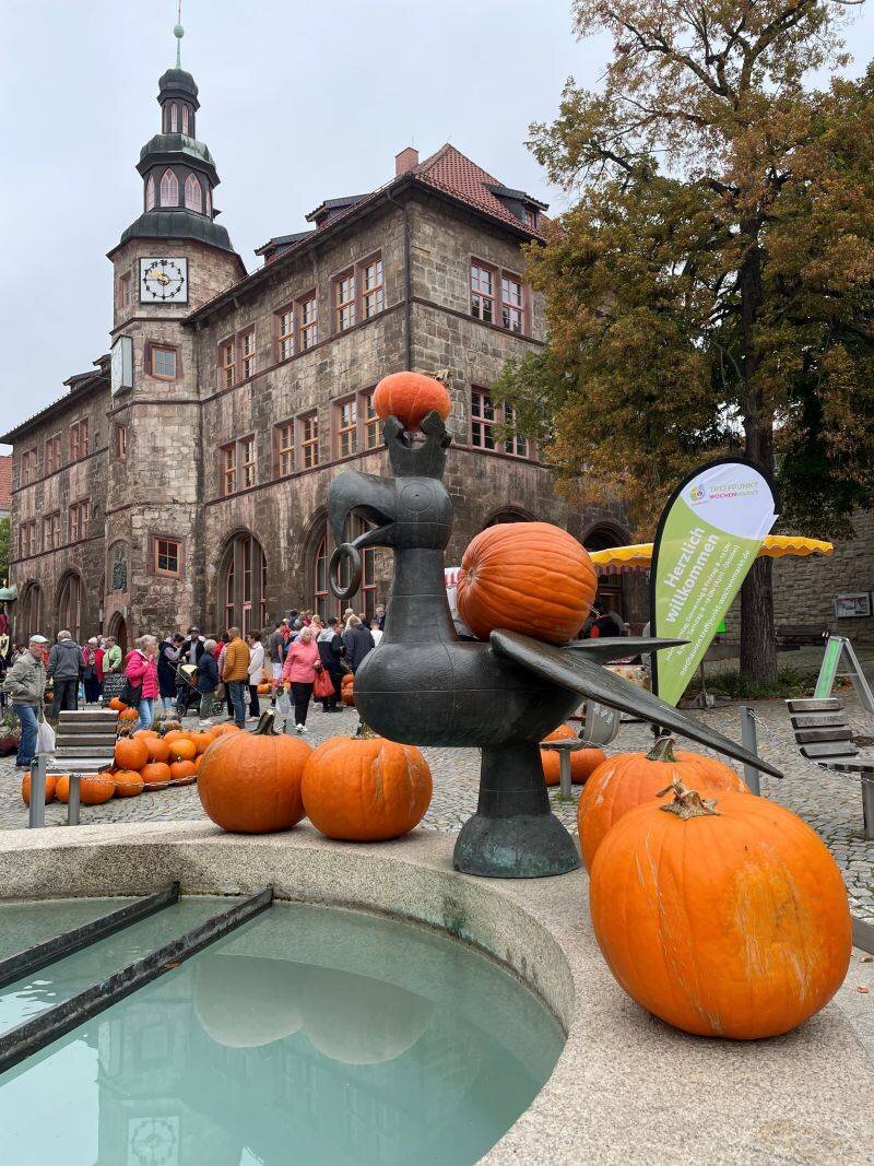 Bunter Kürbis- und Zwiebelmarkt in Nordhausen