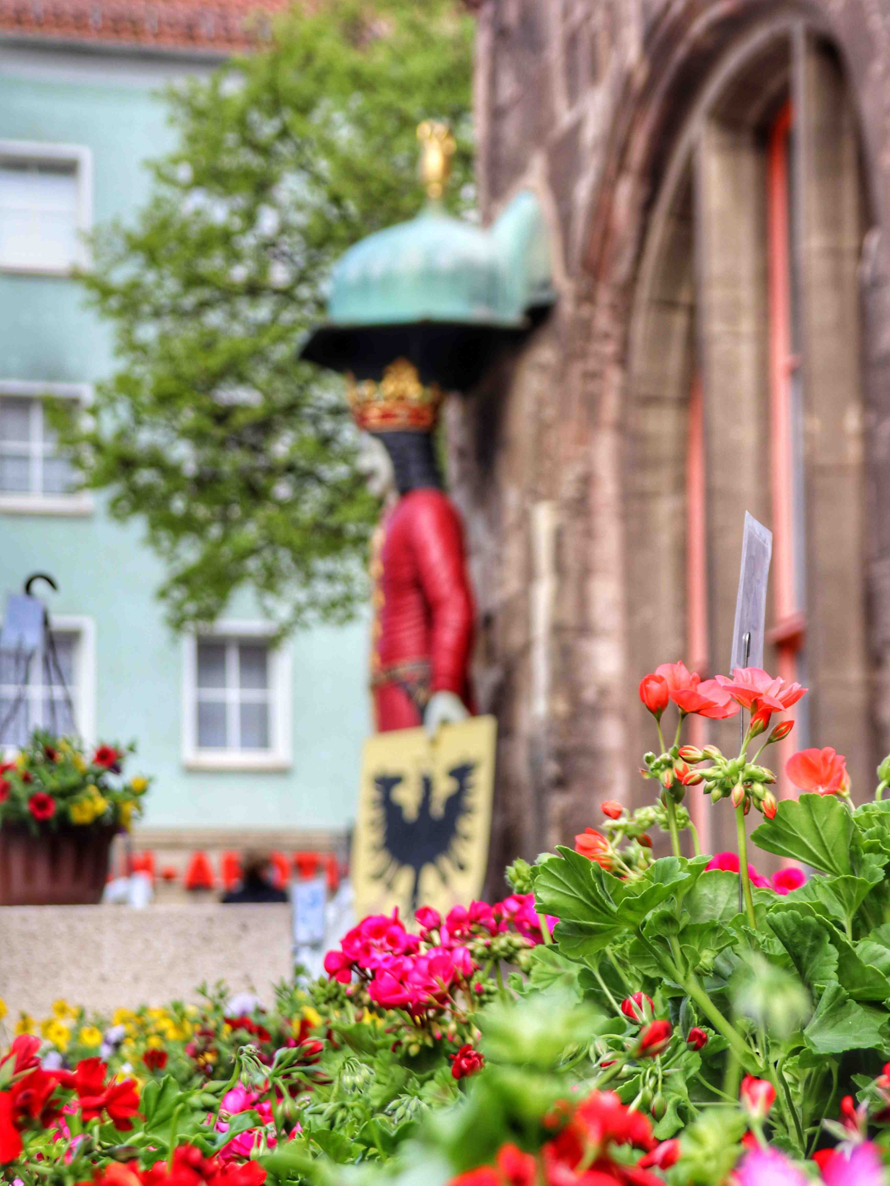 Blütenpracht in Nordhausen: Geranienmarkt am 10. Mai 2025 auf dem  Rathausplatz 