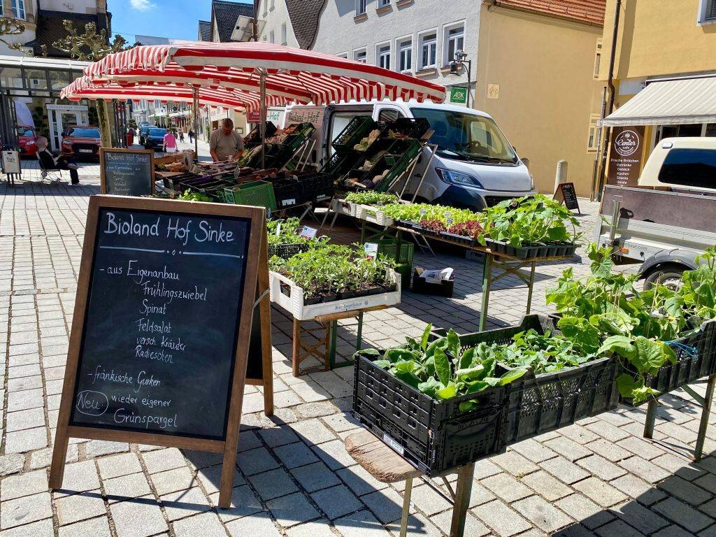 Bioland Hof Sinke erweitert Sortiment auf dem Wochenmarkt Roth: Jetzt auch Gemüsepflanzen aus eigenem Anbau